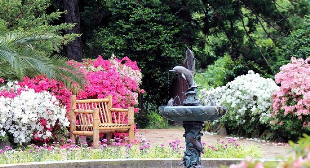 The Botanical Garden in Batumi